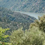 Casa Arribas - Rio Douro Aos Seus Pes * 本波斯塔