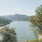 Casa Arribas - Rio Douro Aos Seus Pes Kır Evi Bemposta (Braganca)
