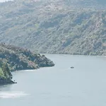 Casa Arribas - Rio Douro Aos Seus Pes 乡村民宿