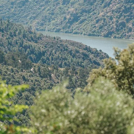 Casa Arribas - Rio Douro Aos Seus Pes * Bemposta (Braganca)