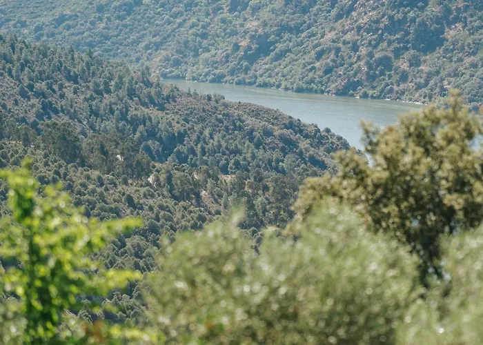 Casa Arribas - Rio Douro Aos Seus Pes * 本波斯塔